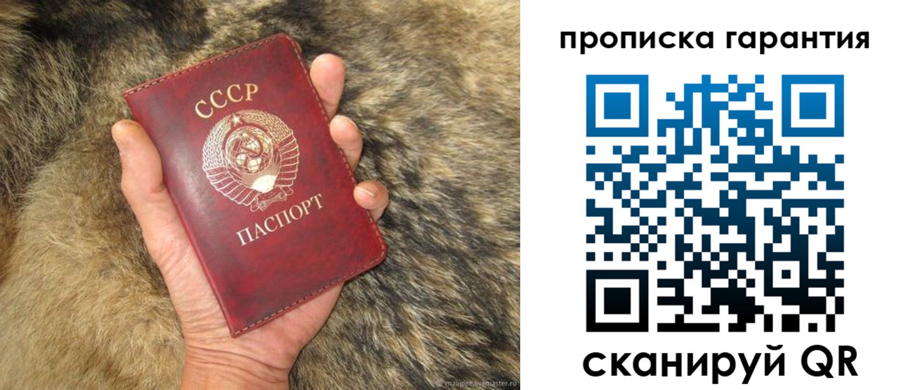 прописка паспорт в Заинске